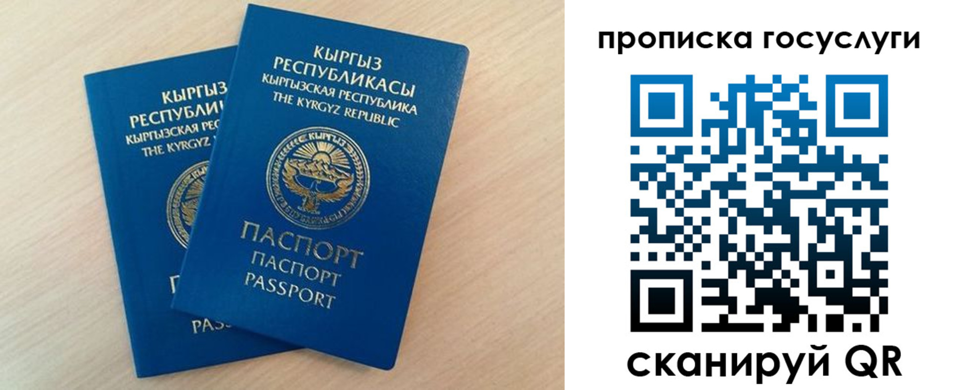 пропишу в квартире в Гатчине